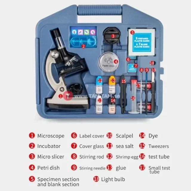 Microscope scolaire