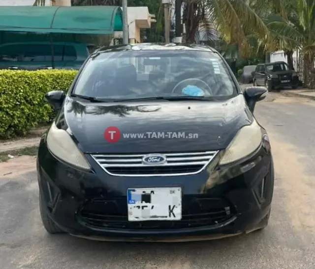 Ford fiesta Anne 2013