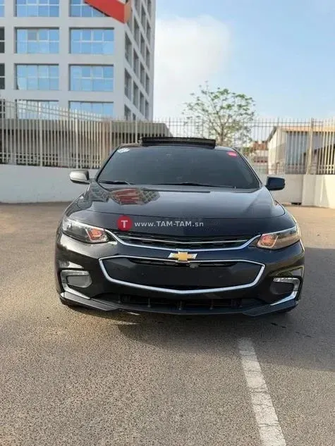 Malibu LTZ