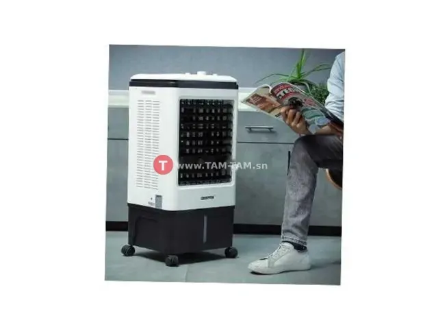 VENTILATEUR REFROIDISSEUR D'AIR 20L