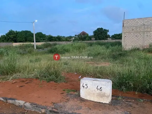 Titre foncier individuel 150m2 à Bambilor route bitumée