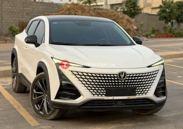 Changan  un_t