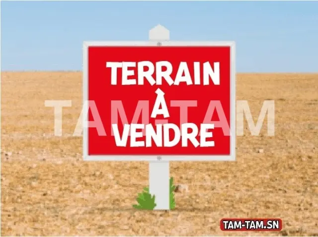 Terrain à vendre - Bambilor (30 677 m²)