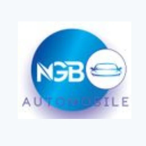 Logo NGB automobile
