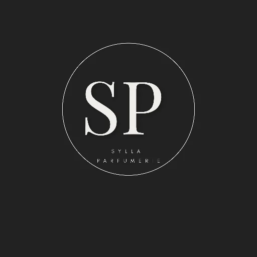 Logo Fallou Sylla