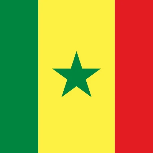 Logo Ahmed Diop