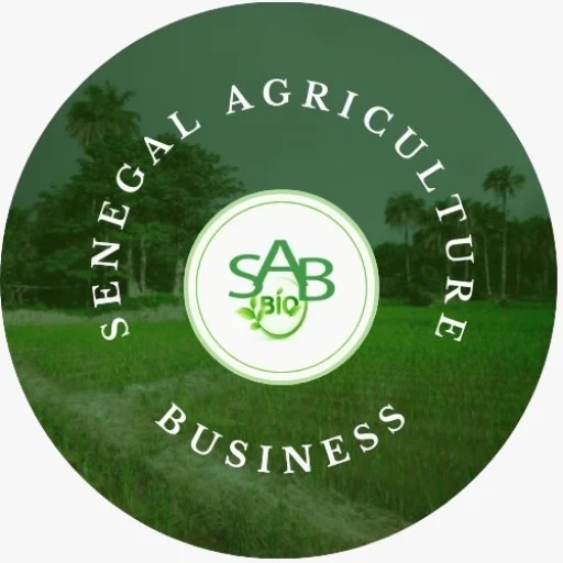 Logo SENEI IMMO