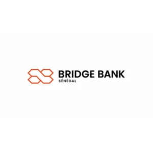 Logo BRIDGE BANK GROUP