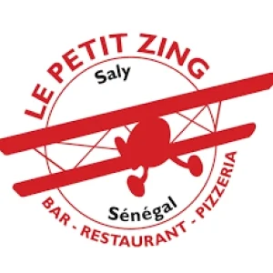 Logo LE PETIT ZING
